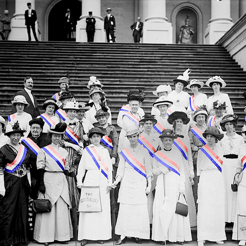 Large group of suffragists on steps